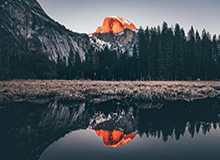 开云官网：一场关于美学与服务的数字化旅程